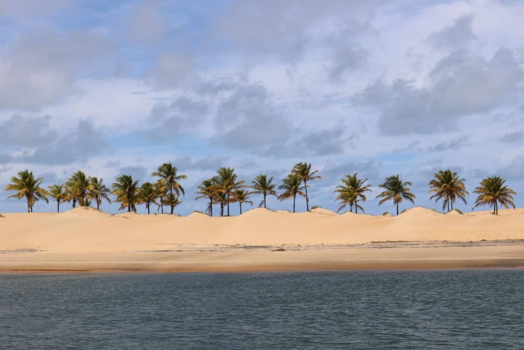 Praia deserta com dunas e coqueiros