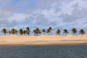 Praia deserta com dunas e coqueiros