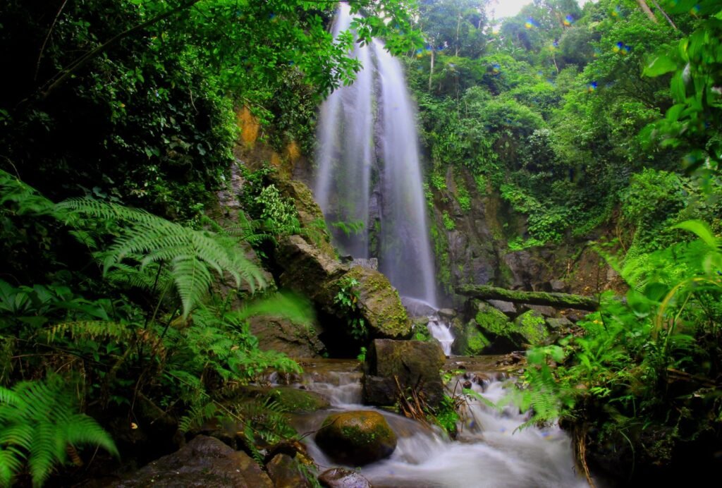 Cachoeira em meio a rochas com musgo e vegetação