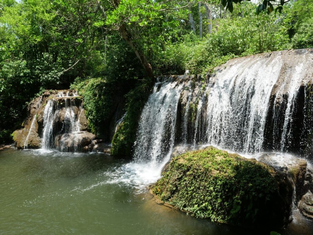 Queda d água cercada por folhagem verde densa