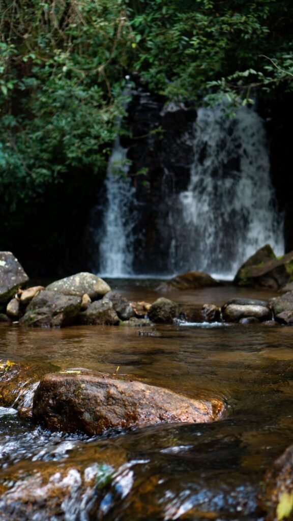 Pequena cachoeira caindo sobre pedras em riacho