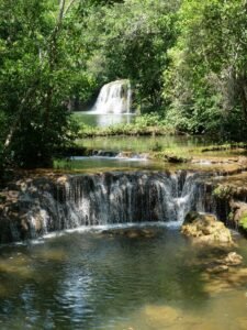 Cachoeira volumosa em rio cercado de floresta densa