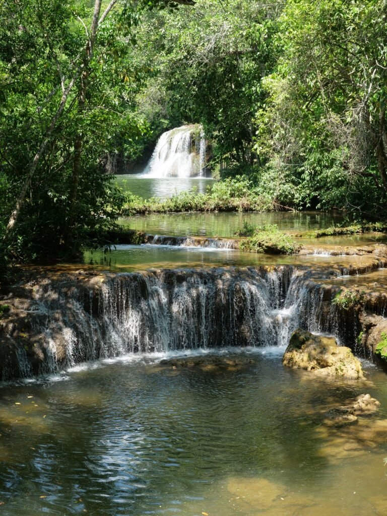 Cachoeira volumosa em rio cercado de floresta densa