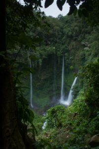 Cachoeiras em meio a floresta tropical densa