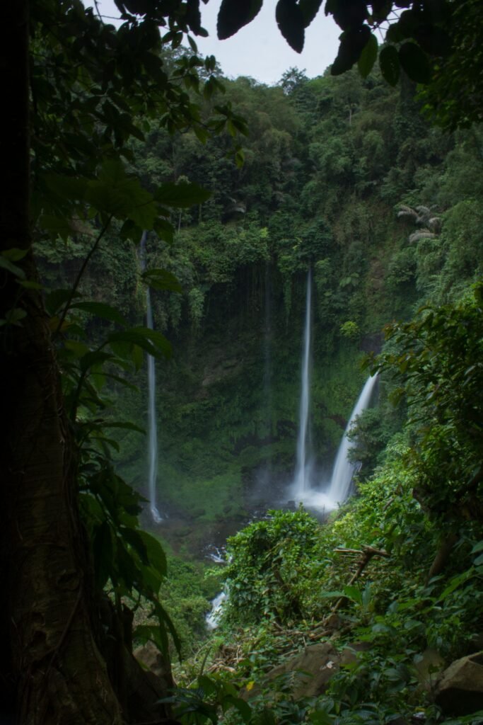 Cachoeiras em meio a floresta tropical densa