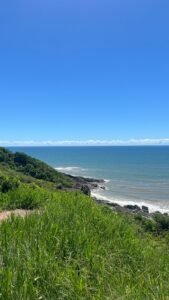 Vegetação costeira com mar ao fundo