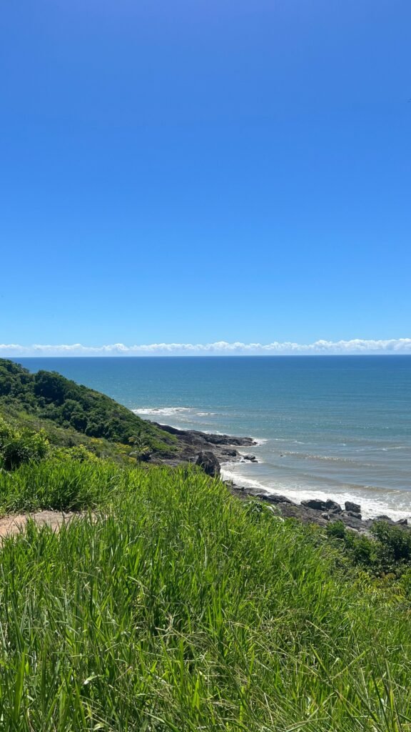 Vegetação costeira com mar ao fundo