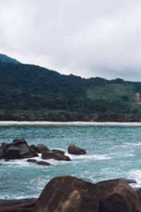 Costa rochosa com vegetação no litoral de São Paulo