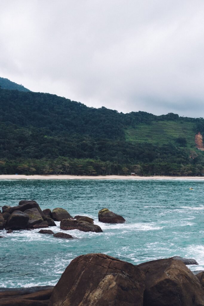Costa rochosa com vegetação no litoral de São Paulo
