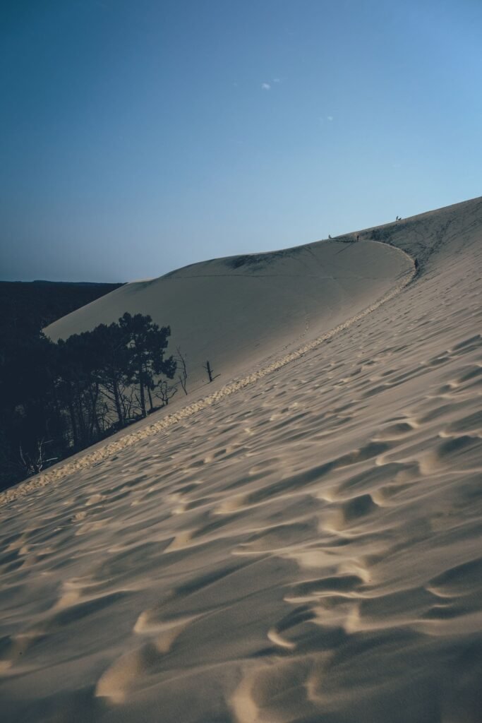 Campo de dunas com sombras suaves