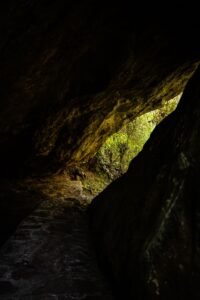 Entrada de caverna escura cercada de vegetação