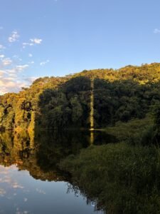 Lago calmo refletindo floresta preservada