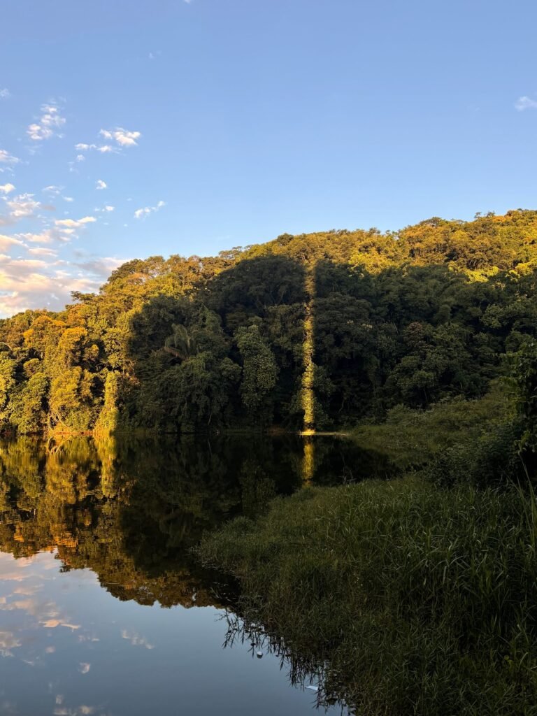Lago calmo refletindo floresta preservada