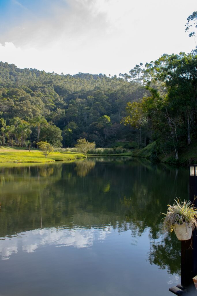 Lagoa tranquila cercada de floresta em Santa Catarina