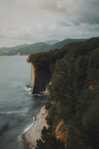 Encosta verde de mata junto ao oceano