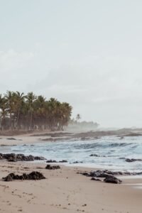 Praia tropical deserta com coqueiros na beira do mar