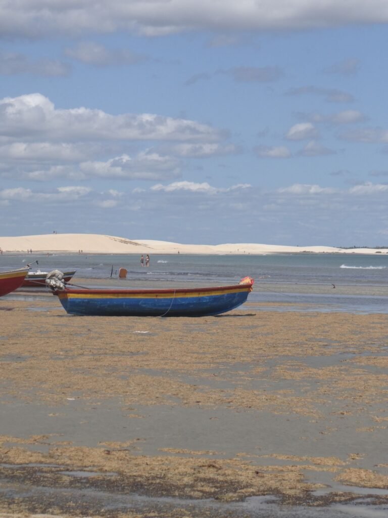 Barcos coloridos em praia com dunas ao fundo