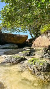 Praia tranquila com pedras cobertas de musgo