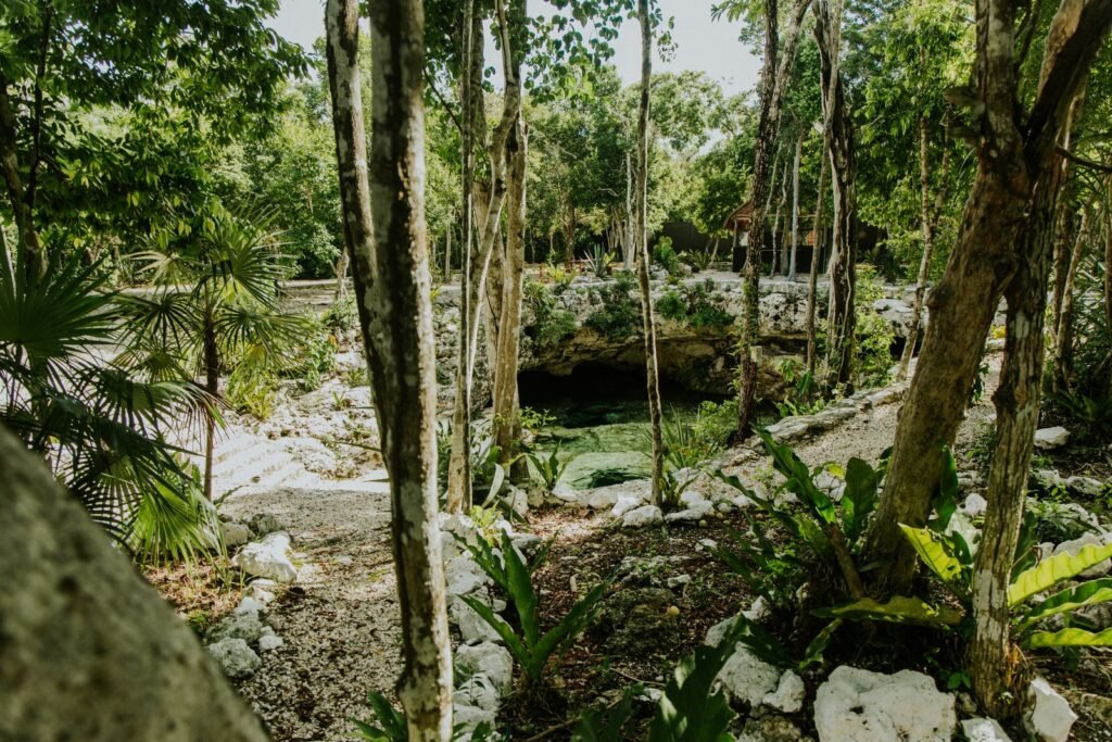 Lagoa de águas claras escondida em meio à vegetação densa