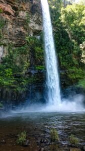 Cachoeira despencando em poço cercado de vegetação
