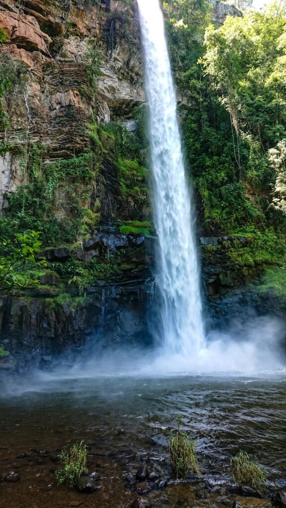 Cachoeira despencando em poço cercado de vegetação