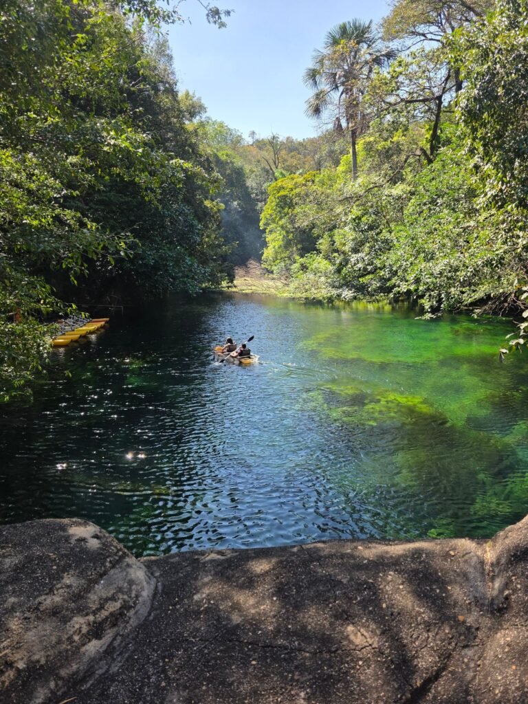 Caiaques descendo rio tranquilo cercado de vegetação verde