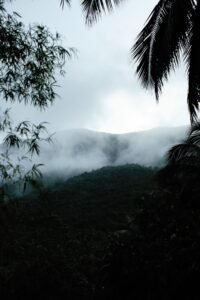 Montanha coberta de floresta tropical sob névoa