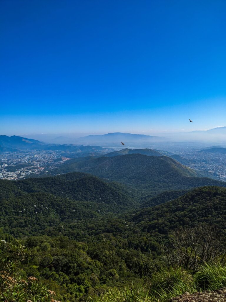 Montanhas verdes e cidade do Rio vistas da Tijuca