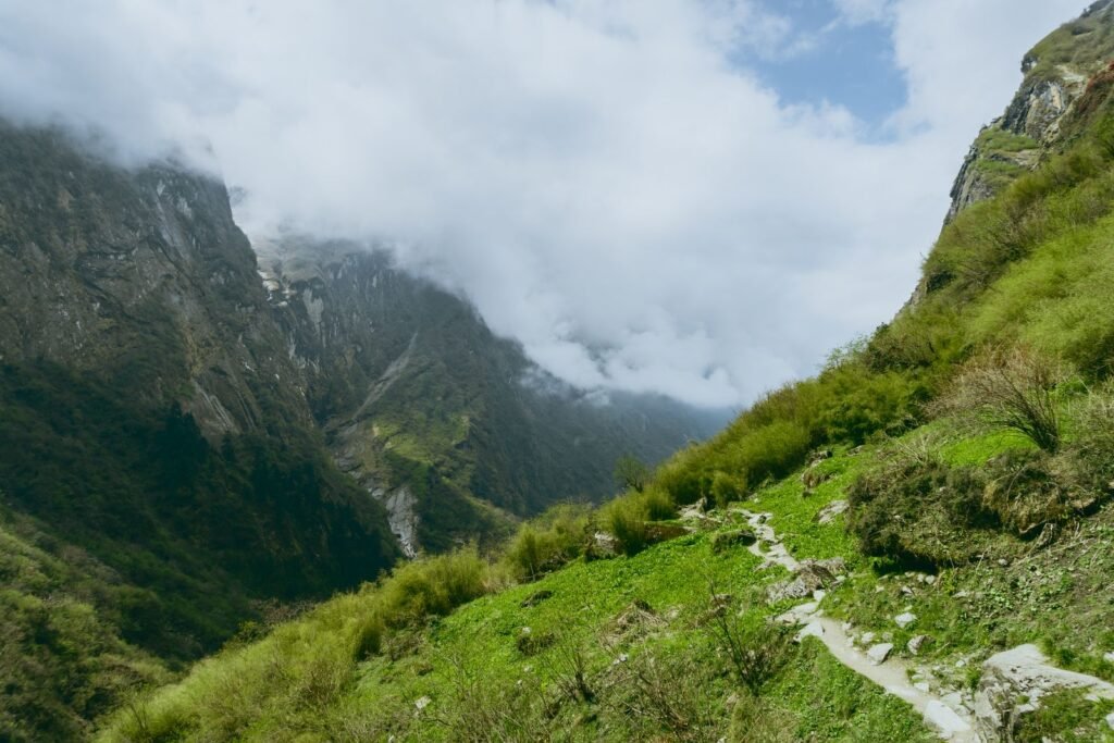 Caminho de trilha entre vegetação e paredões verdes