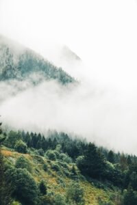 Montanha coberta de floresta verde envolta em neblina matinal