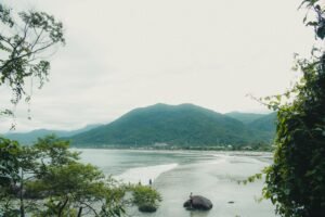 Praia de Ubatuba cercada de Mata Atlântica
