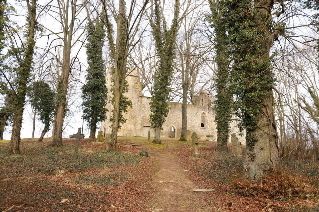 Ruínas de igreja de pedra cercadas por árvores altas