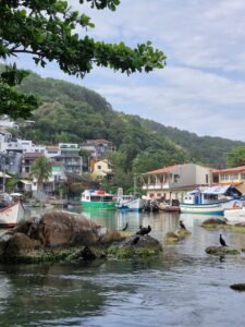 Vila de pescadores com barcos e mata ao fundo
