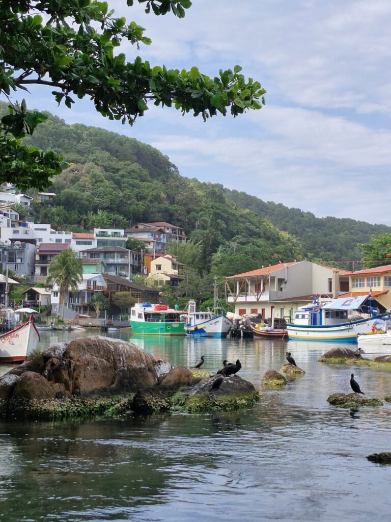 Vila de pescadores com barcos e mata ao fundo