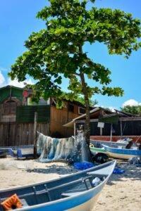 Praia brasileira com barcos e barracas sob árvore